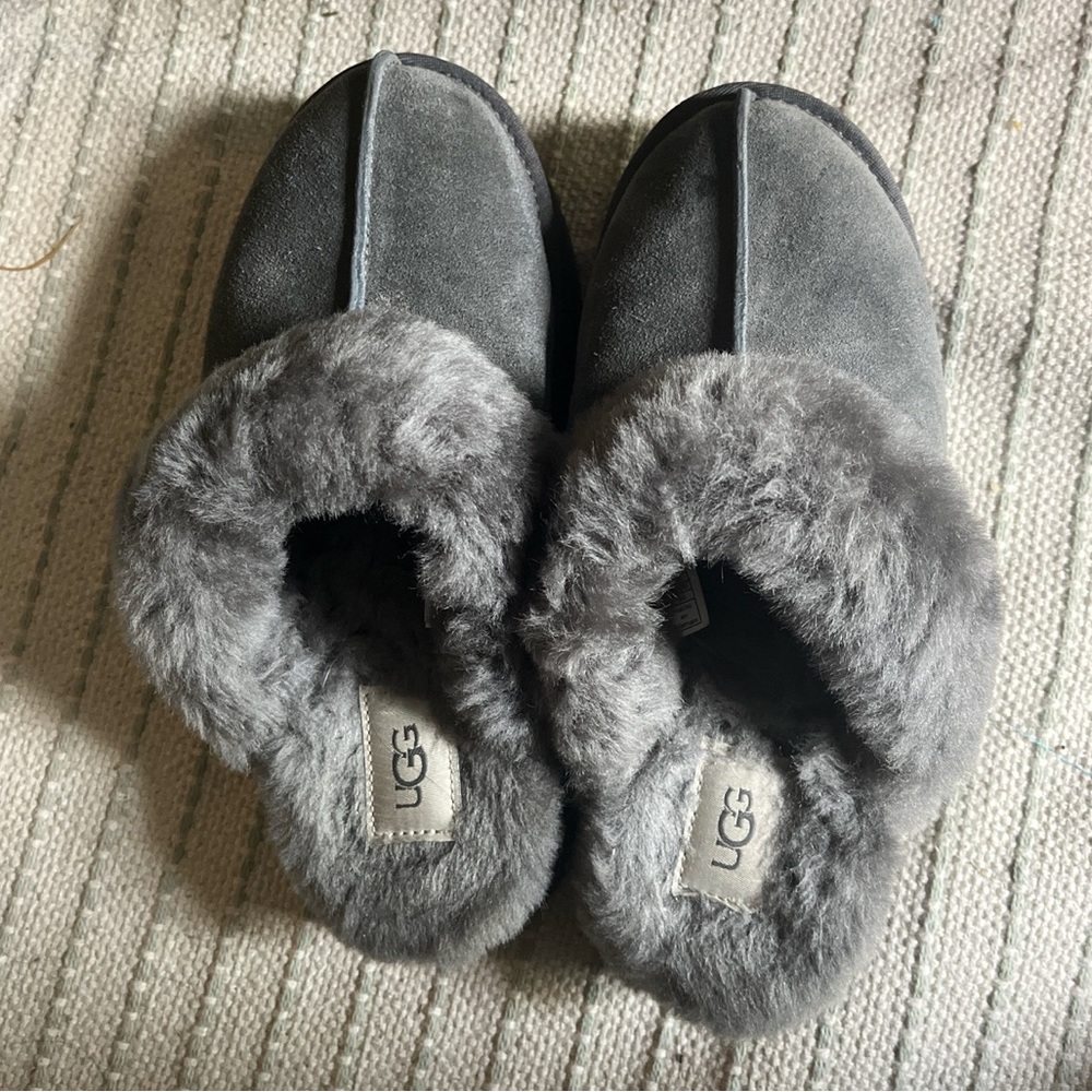 Gray Ugg Disquettes